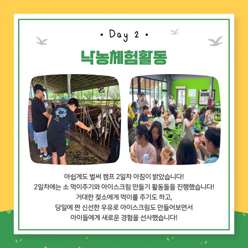 낙농체험