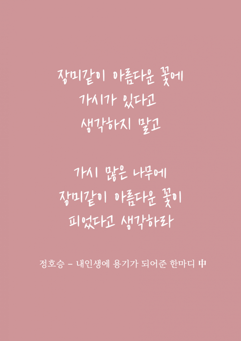 장미같이 아름다운 꽃에 가시가 있다고 생각하지 말고  가시 많은 나무에 장미같이 아름다운 꽃이 피었다고 생각하라  정호승 - 내인생에 용기가 되어준 한마디 中