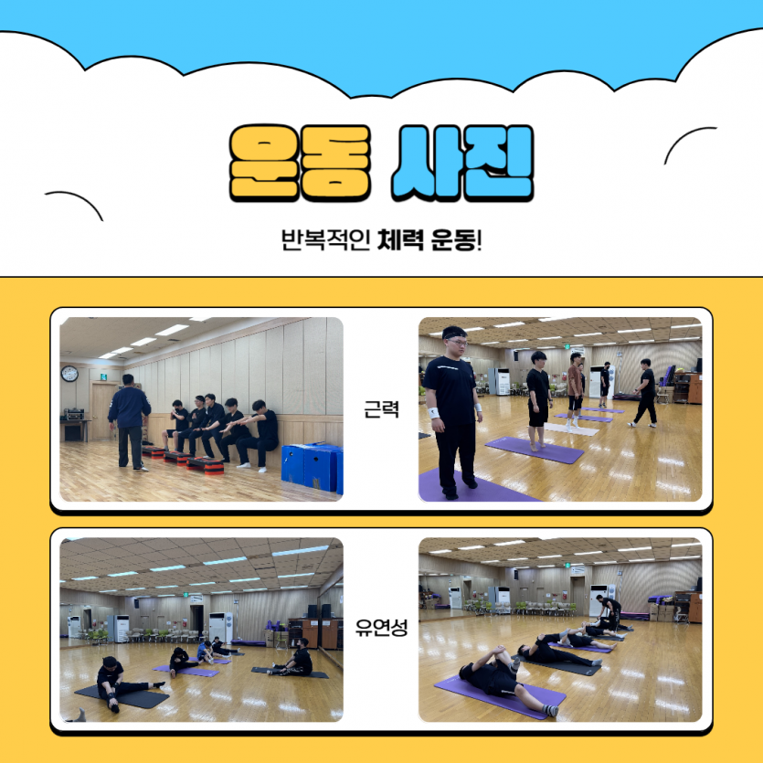 체력 운동(근력, 유연성)