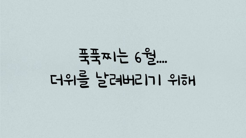 소개글 2