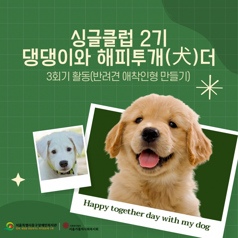 댕댕이와 해피투개(犬)더 3회기 활동