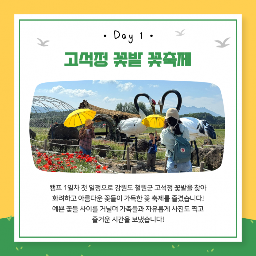 고석정 꽃밭 체험