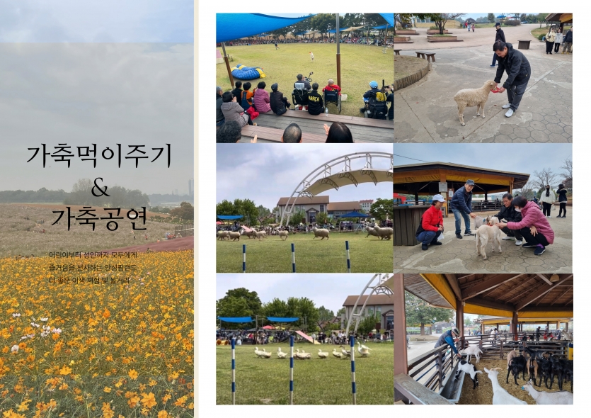 어린이부터 성인까지 모두에게  즐거움을 선사하는 안성팜랜드  더 좋은 이색 체험 및 볼거리