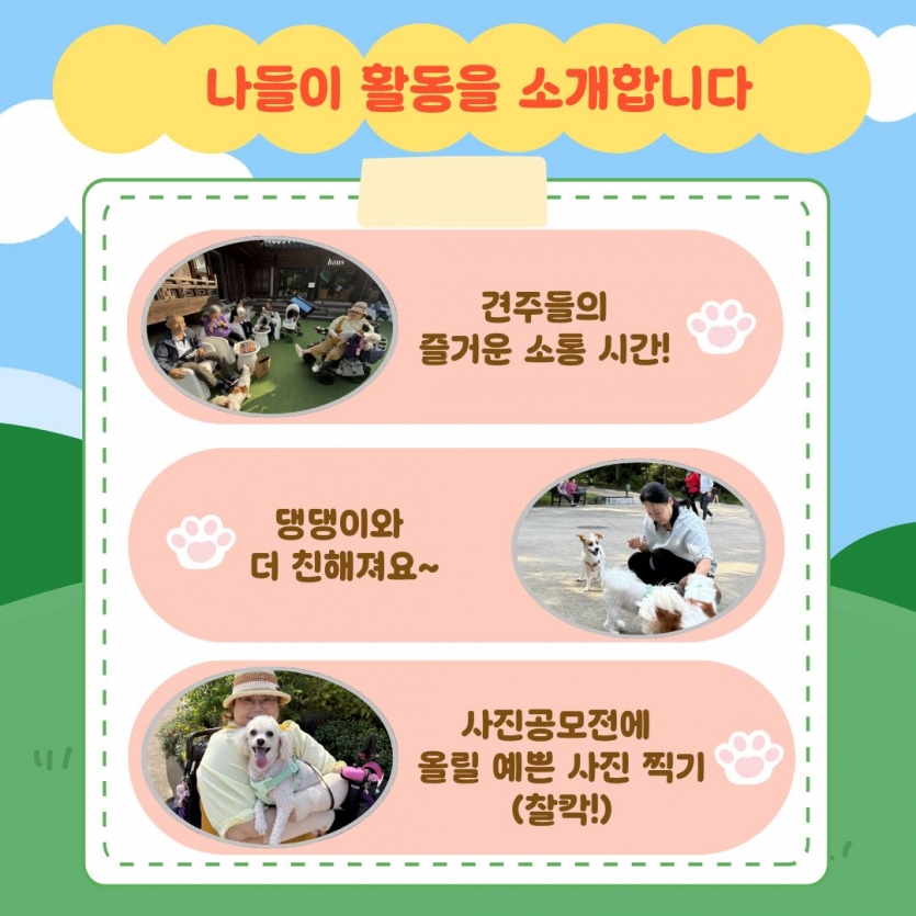 나들이 활동을 소개합니다 견주들의 즐거운 소통 시간!, 댕댕이와 더 친해져요~, 사진공모전에 올릴 예쁜 사진 찍기(찰칵!)
