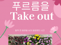 일회용컵이나 빈화분을 활용한 봄꽃 심기