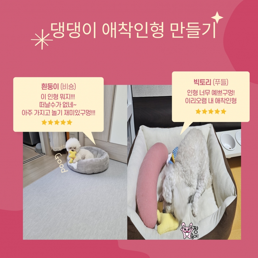 흰둥이 (비숑): 이 인형 뭐지!!!  떠날수가 없네~  아주 가지고 놀기 재미있구멍!!! , 빅토리 (푸들): 인형 너무 예쁘구멍! 이리오렴 내 애착인형